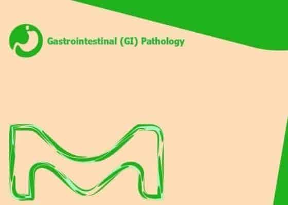Immunhistochemistry Gastrointestinal Carcinomas | Medical Supply Company