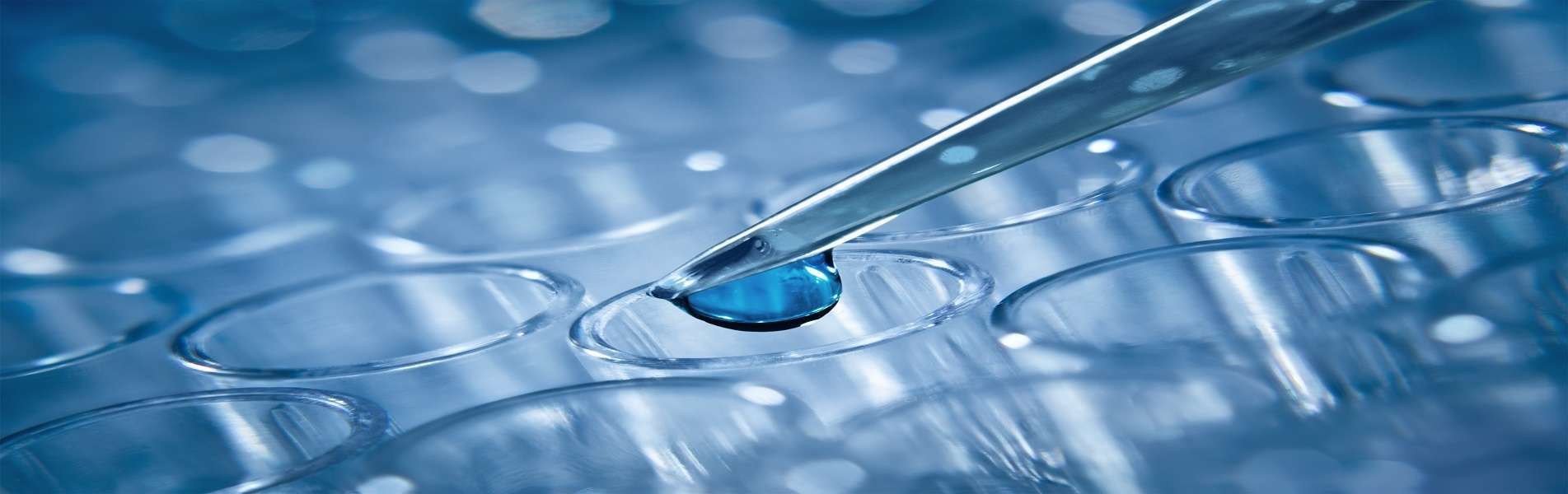 Antibodies & ELISA | Medical Supply Company