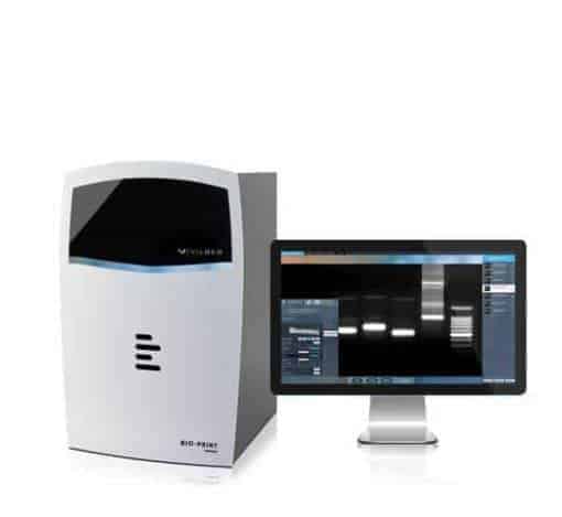 Bio-Print