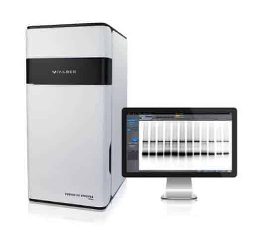 FUSION FX Spectra