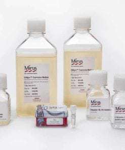 CHOgro® Expression System 1 Kit