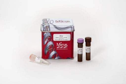 Label IT® Tracker™ Intracellular Nucleic Acid Localization Kit, Cy™5 labels 50-200 ug plasmid DNA