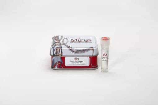 TransIT-TKO® Transfection Reagent 1.5 ml