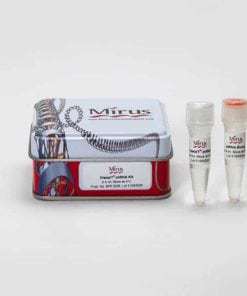 TransIT®-mRNA Transfection Kit 10 x 1 ml