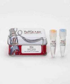 TransIT®-CHO Transfection Kit 10 x 1 ml