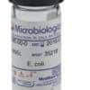 Enterococcus faecium derived from ATCC® 8459™ LYFO DISK® 6-pellet Vial