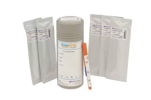 Stenotrophomonas maltophilia derived from ATCC® 17666™*