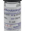 Escherichia coli derived from NCTC 13353 LYFO DISK® 6-pellet Vial