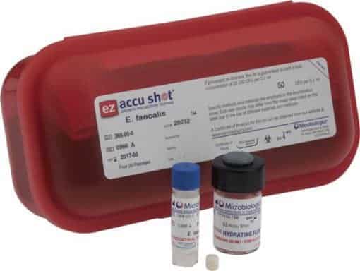 Pseudomonas aeruginosa derived from ATCC® 27853™ EZ-Accu Shot™