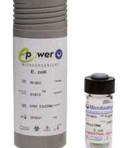 Bacillus subtilis subsp. spizizenii derived from ATCC® 6633™*