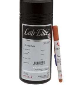 Salmonella enterica subsp. enterica serovar Choleraesuis derived from ATCC® 10708™ Lab-Elite™