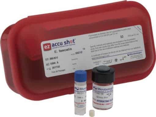 Salmonella enterica subsp. enterica serovar Typhimurium derived from ATCC® 14028™*
