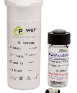 Aspergillus brasiliensis derived from ATCC® 16404™*
