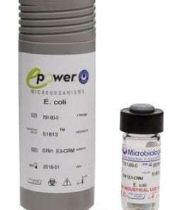 Lactobacillus fermentum derived from ATCC® 9338™*