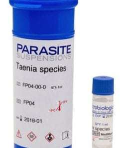 Ascaris lumbricoides Parasite Suspension
