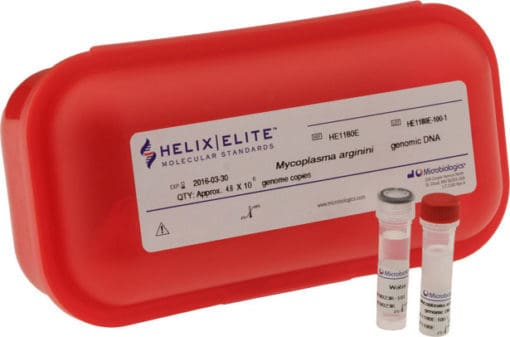 Mycoplasma gallisepticum derived from NCTC 10115