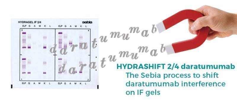 hydrashift 2/4 daratumumab | Medical Supply Company