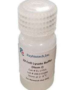 2X Cell Lysis Buffer for use with ELISA Kits  5 mL | Medical Supply Company