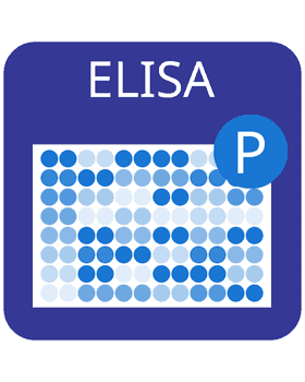 Cell-Based Human/Mouse Stat 6 (Tyr641) Phosphorylation ELISA Kit 1 x 96-Well Microplate Kit | Medical Supply Company