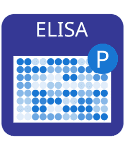 Cell-Based Human/Mouse/Rat EGFR (Multi-site) Phosphorylation ELISA Kit 2 x 96-Well Kit | Medical Supply Company