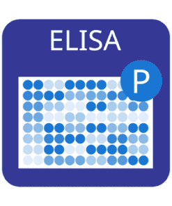 Cell-Based Human/Mouse/Rat EGFR (Tyr992) Phosphorylation ELISA Kit 1x96-Well Microplate Kit | Medical Supply Company