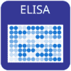 Custom Feline Interleukin-10 (IL-10) ELISA Kit 1 x 96 well strip plate | Medical Supply Company