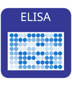 Custom Feline Interleukin-5 (IL-5) ELISA Kit 1 x 96 well strip plate | Medical Supply Company