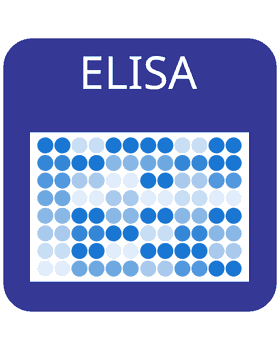 Human LIGHT ELISA Kit 1 x 96 well strip plate | Medical Supply Company