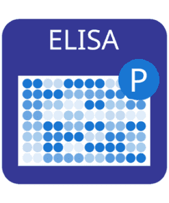 Human/Mouse/Rat Phosph Mek (Ser217/Ser221) Total Mek ELISA Kit Cell & Tissue 1 x 96-Well | Medical Supply Company