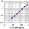 LEGEND MAX™ Human CD31 (PECAM-1) ELISA Kit with Pre-coated Plates 5 Pre-coated Plates | Medical Supply Company