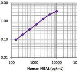LEGEND MAX™ Human NGAL (Lipocalin-2) ELISA Kit with Pre-coated Plates 5 Pre-coated Plates | Medical Supply Company