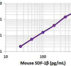 LEGEND MAX™ Mouse CXCL12 (SDF-1beta) ELISA Kit with Pre-coated Plates 5 Pre-coated Plates | Medical Supply Company