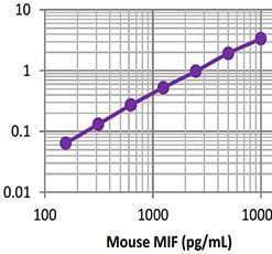 LEGEND MAX™ Mouse MIF ELISA Kit with Pre-coated Plates 5 Pre-coated Plates | Medical Supply Company