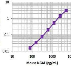 LEGEND MAX™ Mouse NGAL (Lipocalin-2) ELISA Kit with Pre-coated Plates 5 Pre-coated Plates | Medical Supply Company