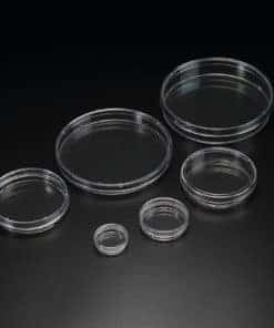 Cell Culture Dish