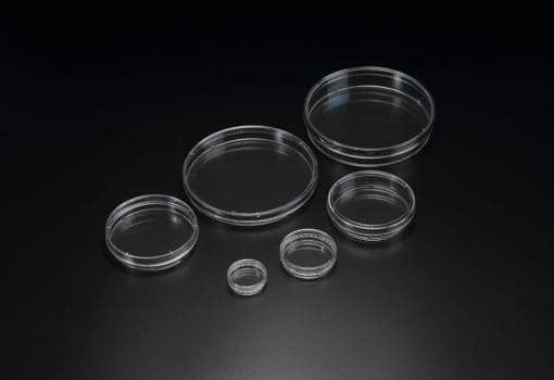 Cell Culture Dish