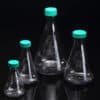 Erlenmeyer Flask