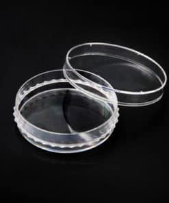 IVF Culture Dish