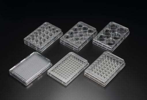 Cell Culture Plate | Medical Supply Company