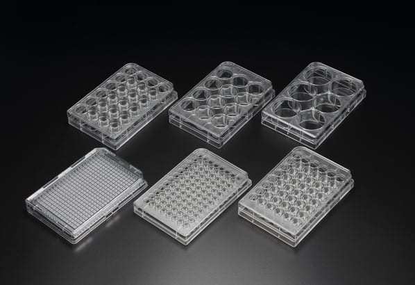 Cell Culture Plate | Medical Supply Company
