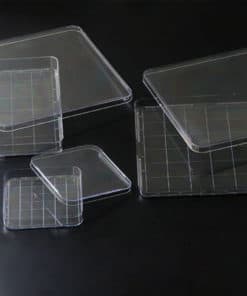 Square Dish