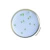 CN agar - Pre-poured medium BM19608 | Medical Supply Company