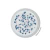 Chromogenic Coliform Agar (CCA) BM18208 | Medical Supply Company