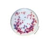 COMPASS® Salmonella Agar - Pre-poured medium BM06608 | Medical Supply Company