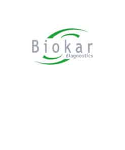 Sabouraud Dextrose Chloramphenicol Agar (SDCA) - Ready-to-melt medium BM17608 | Medical Supply Company