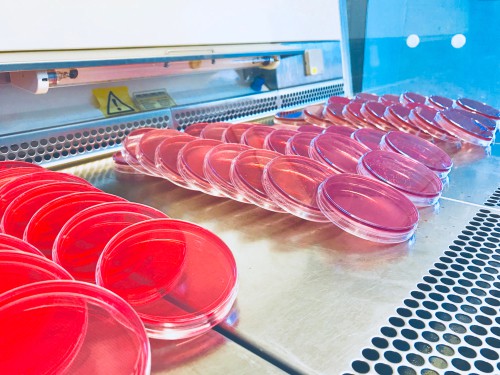 Industrial Microbiology | Medical Supply Company