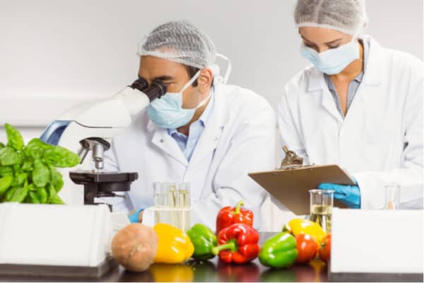 World Food Safety Day food microbiology | Medical Supply Company