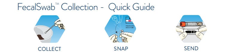 FecalSwab® for stool sample collection Quick Guide | Medical Supply Company