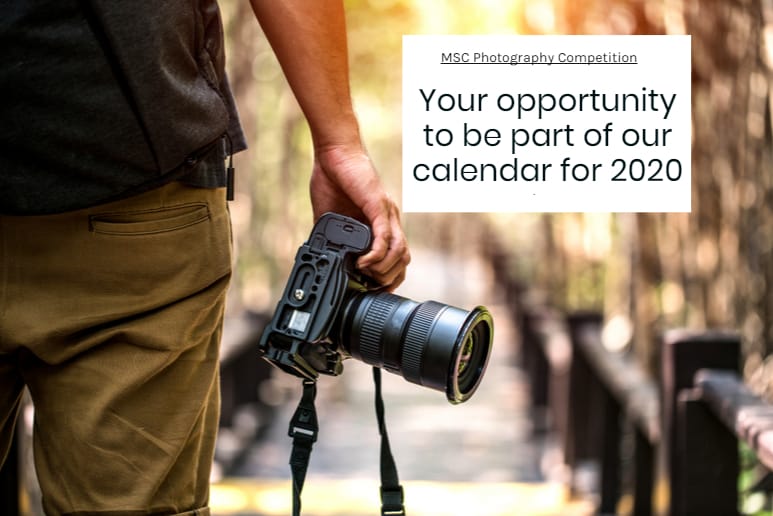 MSC 2020 Calendar Competition | Medical Supply Company