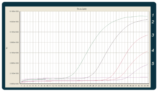 MagCore® Viral Nucleic Acid Extraction Kit
